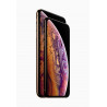 iPhone XS 512 Go Or Reconditionné