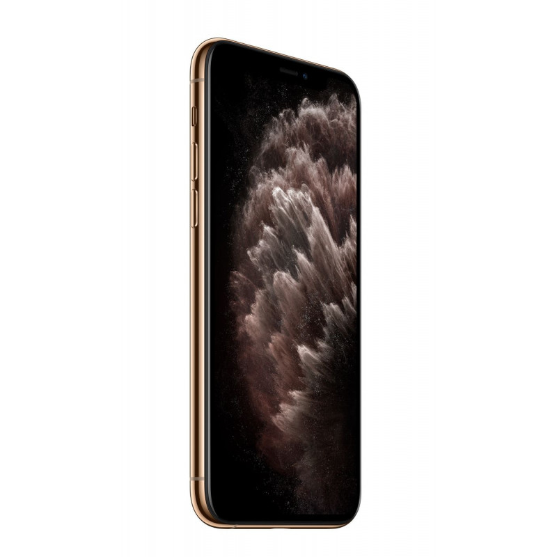 iPhone 11 Pro 256 Go Or Reconditionné