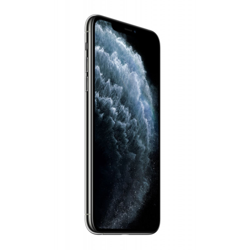 iPhone 11 Pro Max 256 Go Argent