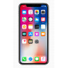 iPhone X 256 Go Gris Sidéral Reconditionné