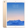 iPad Air 2 (2014) 16 Go WiFi Or Reconditionné