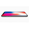 iPhone X 256 Go Gris Sidéral Reconditionné