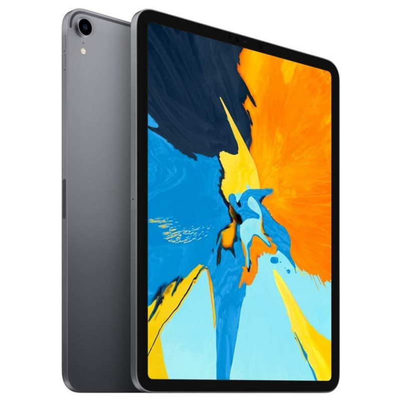 iPad Pro 11" 1ère génération (2018) 256 Go WiFi Gris Sidéral Reconditionné