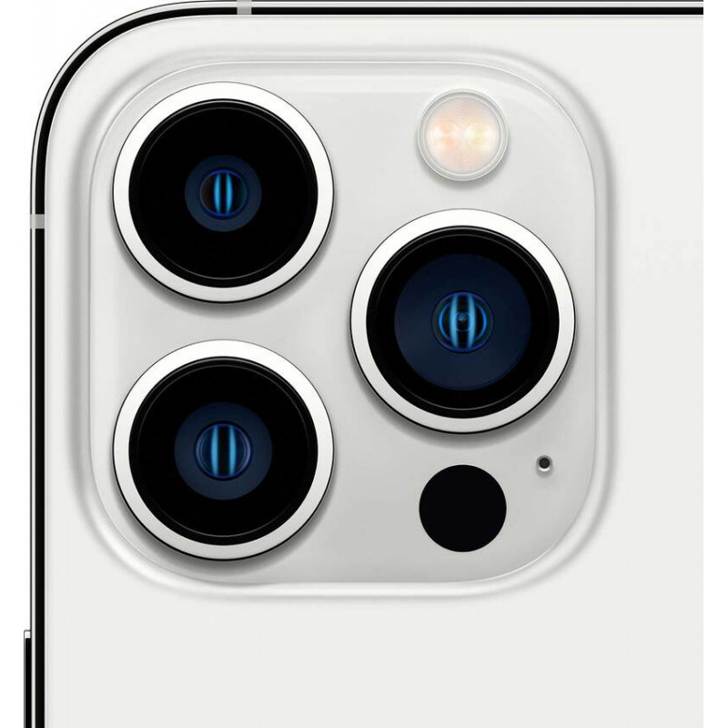 iPhone 13 Pro 1 To Argent Reconditionné