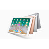 iPad 9,7" 6e génération (2018) 128 Go WiFi Argent Reconditionné