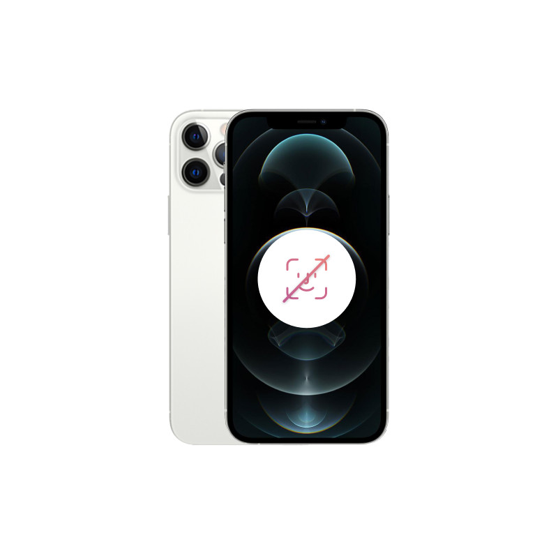 iPhone 12 Pro 256 Go Argent Reconditionné sans FACE ID