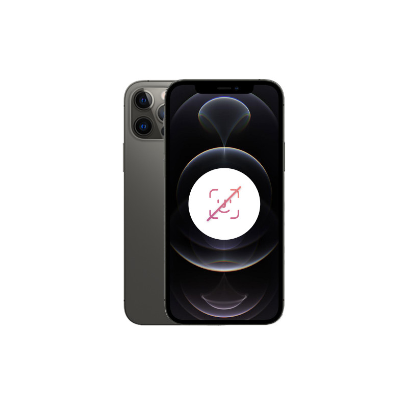 iPhone 12 Pro Max 256 Go Graphite Reconditionné - Noir sans FACE ID