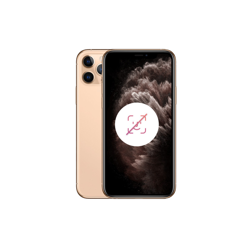 iPhone 11 Pro Max 256 Or