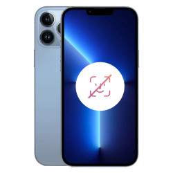 iPhone 13 Pro Max 256 Go Bleu Alpin Reconditionné sans FACE ID