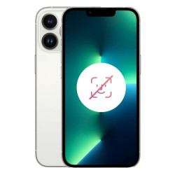 iPhone 13 Pro Max 256 Go Argent Reconditionné sans FACE ID