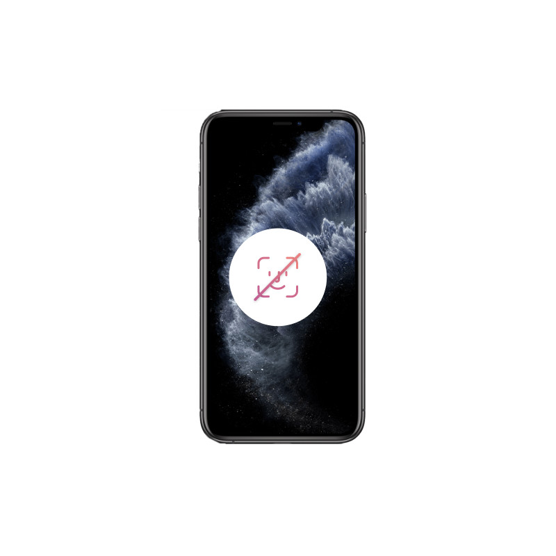 iPhone 11 Pro Max 512 Go Gris Sidéral