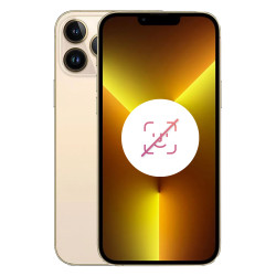 iPhone 13 Pro Max 128 Go Or Reconditionné sans FACE ID